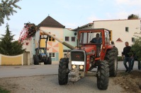 Das erfahrene „Maibaumteam“ Anton Eigner und Leopold Herzog transportieren den Maibaum mit ihren Traktoren und setzten ihn in das vorbereitete Loch gegenüber dem Kindergarten.